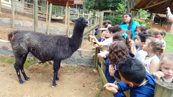 Bicho Mania 2022